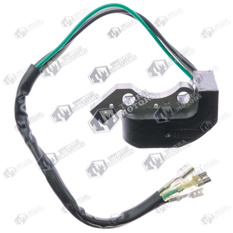 Stator aprindere generator 2 timpi - Plastic negru